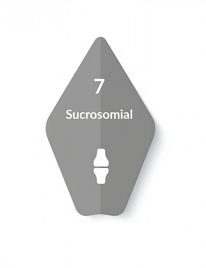 Sucrosomial Magnesium